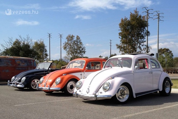 Bogártalálkozó Budapesten