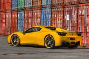 Olasz csődör Németországból