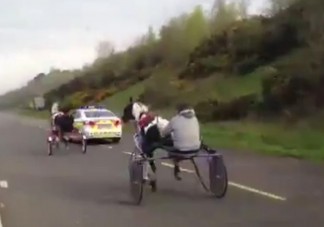 Illegális lóverseny az autók között