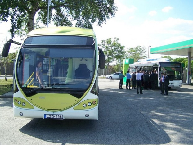 Egy orrhosszal jobb?