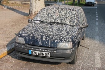 A piros kocsi a madarak kedvenc WC-je