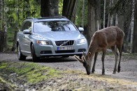 Emberien dönt a jövő Volvója 12