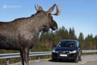 Emberien dönt a jövő Volvója 13