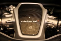 Vadállat a szállodában: McLaren 30