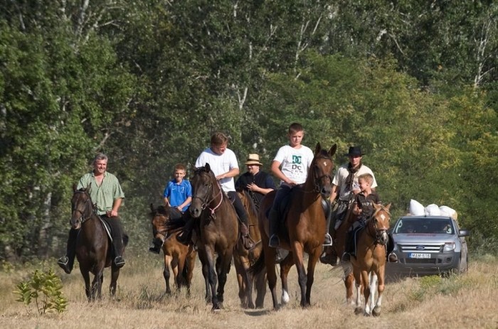 Nyeregszemle - Ford Ranger