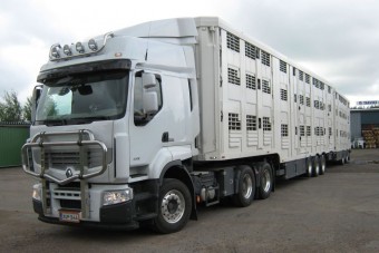 Telematika védi az élőállatok épségét