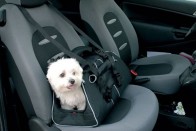 Kistestű kutyák szállításához optimális egy biztonságosan rögzíthető hordtáska