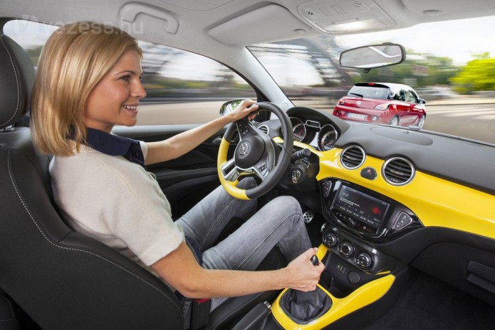 12 különféle műszerfalszín van