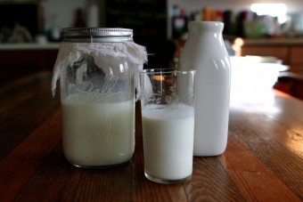 Ne vezessen, aki kefirt iszik?