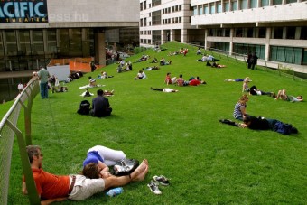 Füves háztetőkkel az autók szennyezése ellen