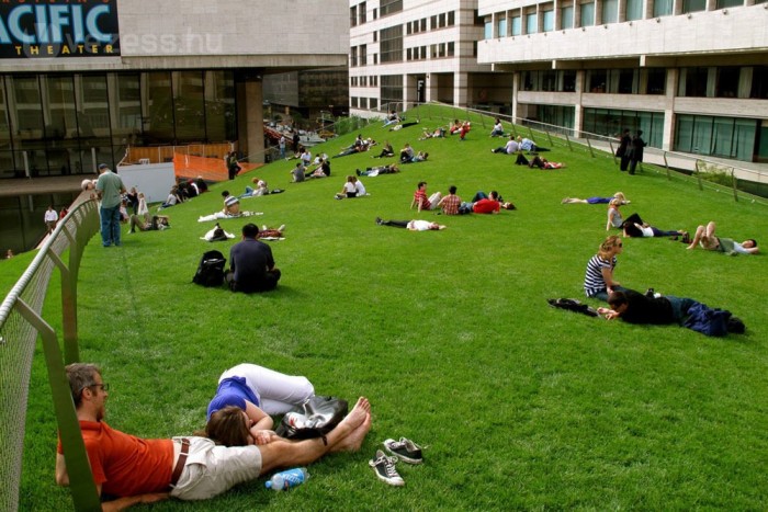 Füves háztetőkkel az autók szennyezése ellen