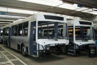 Tele van a csarnok a Hungarian Bus 122L típusú kezdeményeivel
