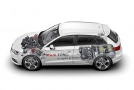 A tengeri szélerőműből érkező elektromos energiával az Audi vizet bont. Az így keletkezett hidrogént szén-dioxiddal kiegészítve metán készül, amelyet e-gáz néven a meglévő gázhálózatba is be lehet vezetni vagy elégetheti egy sűrítettföldgáz-üzemű autó