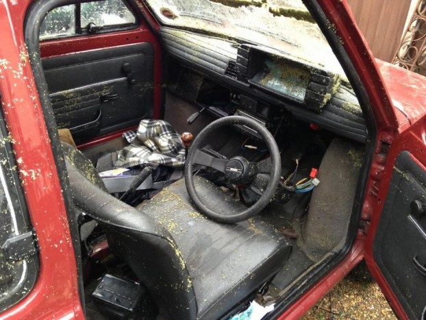 A sokkoló látvány láttán sokan a roncstelep mellett döntöttek volna