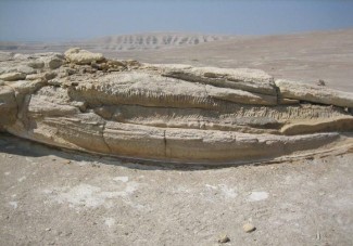 Ősmaradványokat veszélyeztet a Dakar-rali