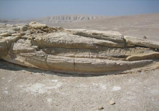 Ősmaradványokat veszélyeztet a Dakar-rali