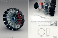 8. Sebestyén Marcell (Magyarország) - Chitin Concept