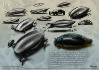 Rovarkocsi, ballonautó, bambuszbusz