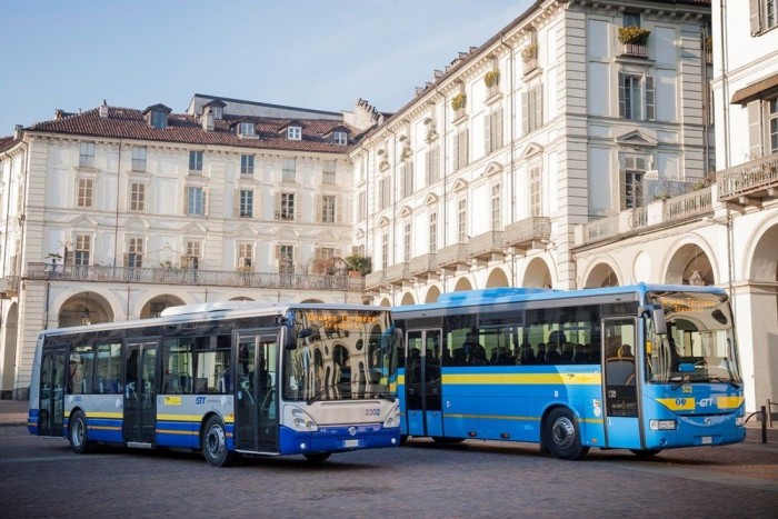 Delfines buszokat rendeltek az olaszok
