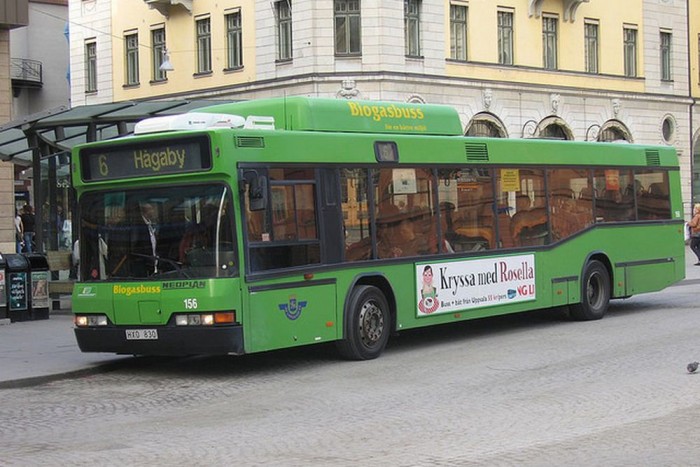 Büdös utastól rettegtek a buszsofőrök 3