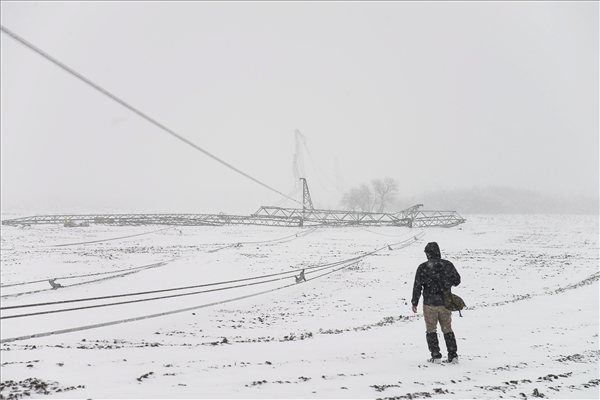 Leszakadt 22 kilovoltos elektromos fővezeték és összetört tartóoszlopok Kemecse és Nagyhalász határban 2013. március 15-én. Szabolcs-Szatmár-Bereg Megyében 98 településen több mint hetvenezer háztartásban nincs áramszolgáltatás.
MTI Fotó: Balázs Attila
