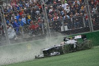 F1: Webbert még az ág is húzta 53