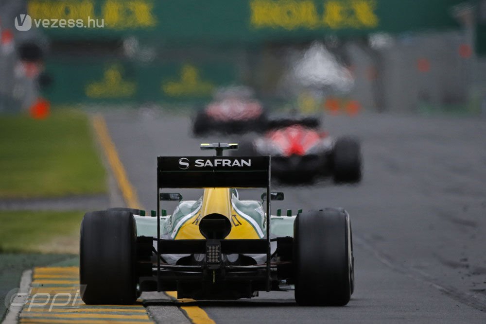 F1: Webbert még az ág is húzta 15