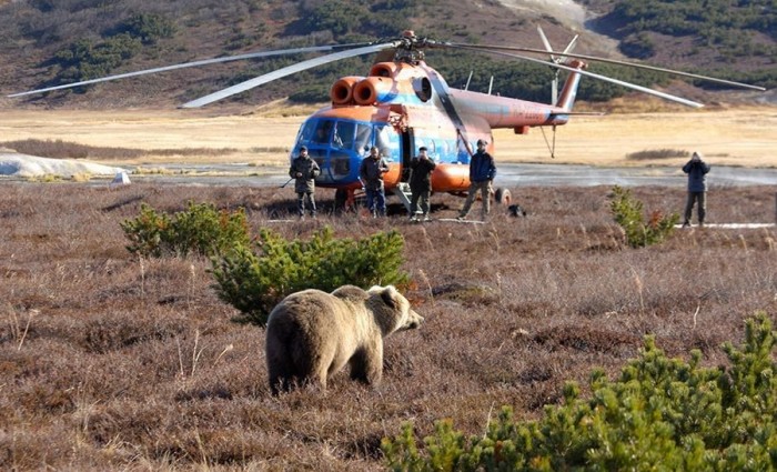 Benzingőzfüggő orosz medvék 3