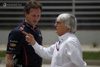 Ecclestone: Hülyeség volt a csapatutasítás 7