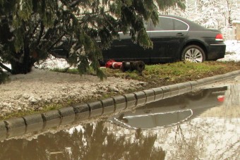 A Hetes és a tűzcsap