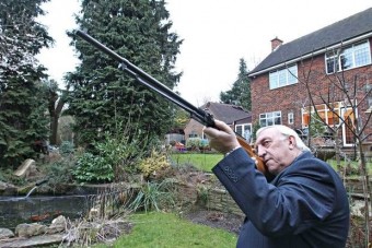 Háború a mókusok ellen garázstűz miatt