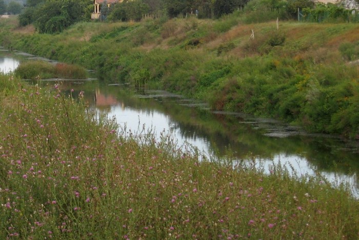 Elütötte, elrejtette, meghalt