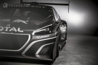 1000 LE-s Peugeot  Sebastien Loebnek