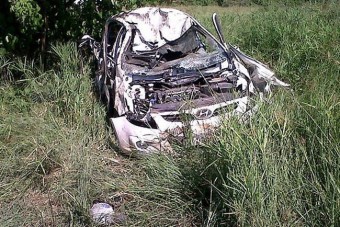 Elefánt borította fel a turisták autóját