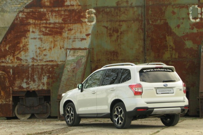 Felnőtt a feladathoz 6