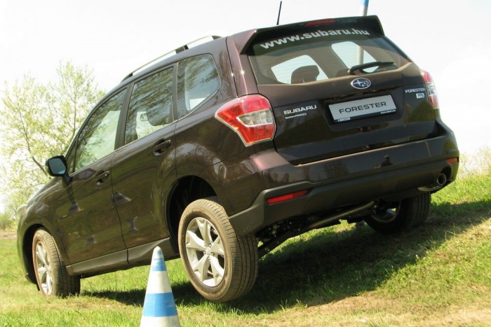 Felnőtt a feladathoz 10