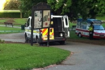 Fagyizni ment, elgázolta a rendőrautó