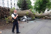 A gyerekek túlélték a zuhanást, az autók nem 10