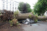 A gyerekek túlélték a zuhanást, az autók nem 12