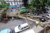 A gyerekek túlélték a zuhanást, az autók nem 14