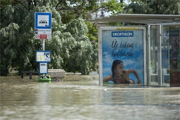 Lopott, hogy nézhesse az árvizet 5