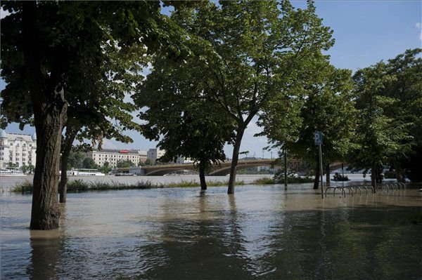 Lopott, hogy nézhesse az árvizet 6