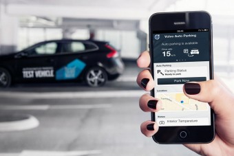 Menj, parkolj le valahol!