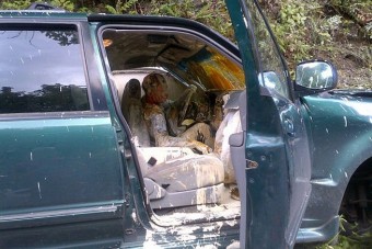 Az év fotója! Színesre karambolozta magát a festő