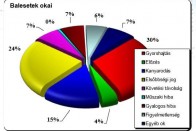 70 napon nem halt meg közlekedő 10