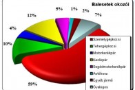 70 napon nem halt meg közlekedő 11