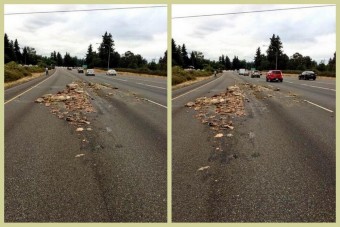 Állati tetemekkel szórta meg az autópályát a kamion