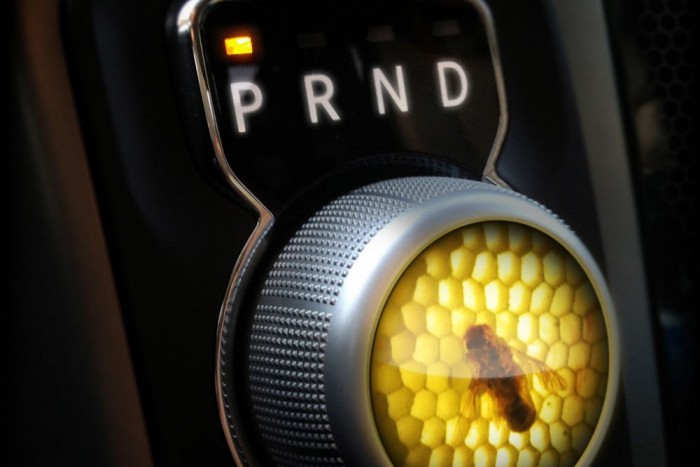 Üvölt, zümmög, hörög a Dongó 7