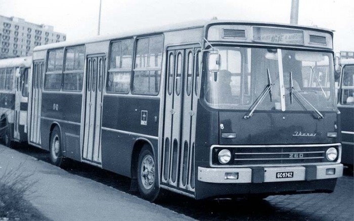 Lecsaptak a csotrogányokra