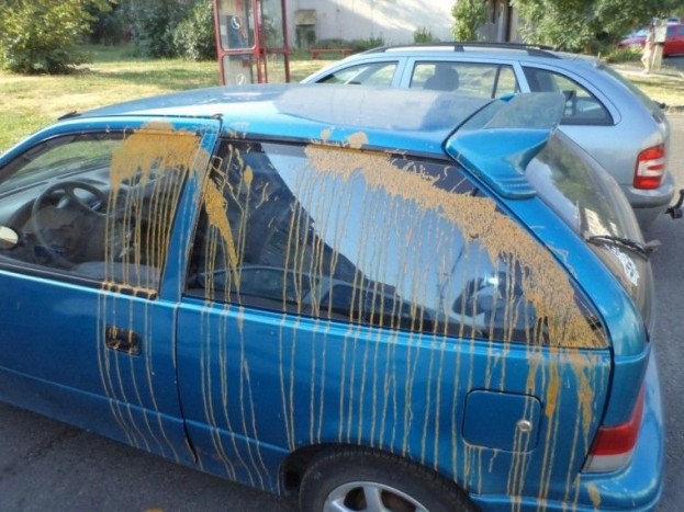 22 autót rongált meg a borsodi asszony 8